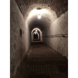 Jacquinot Champagne Blanc de Noirs