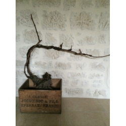 Jacquinot Champagne Blanc de Noirs