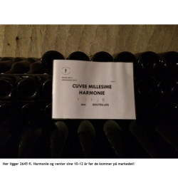 Jacquinot Champagne Harmonie Prestige, 2011